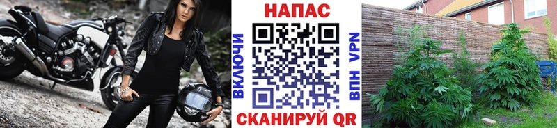 Конопля THC 21%  Куйбышев 